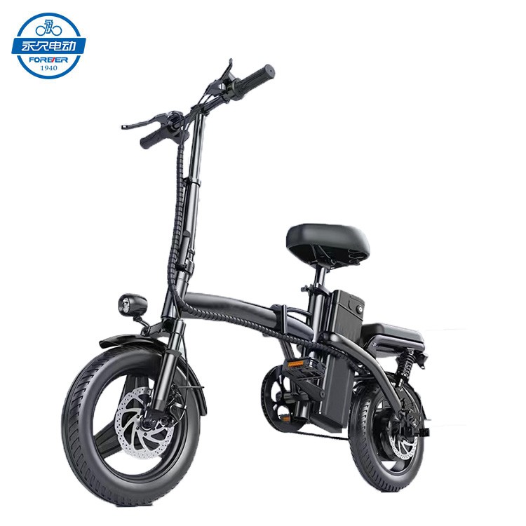 Foldable Electric Bike