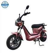 Power Assist bicikli