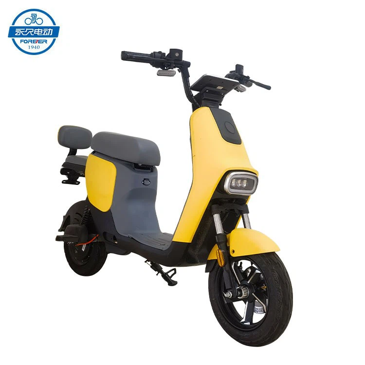 Mini Electric Bike