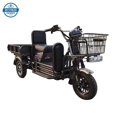 Električni bicikl s 3 kotača